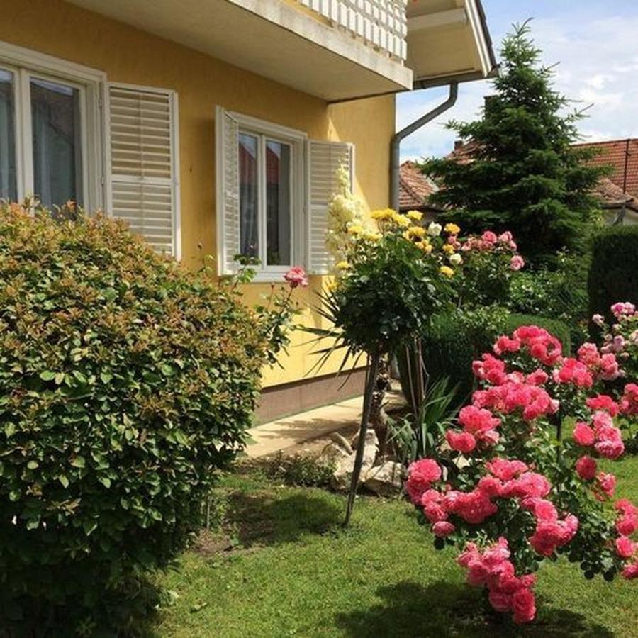Gizella Haz Daire Kestel Dış mekan fotoğraf